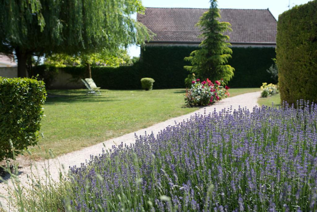 Hotel L'Oree Des Vignes Gilly-les-Citeaux Bagian luar foto