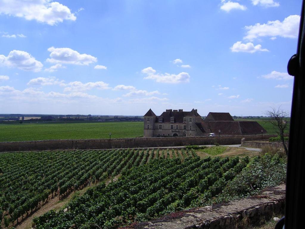 Hotel L'Oree Des Vignes Gilly-les-Citeaux Bagian luar foto