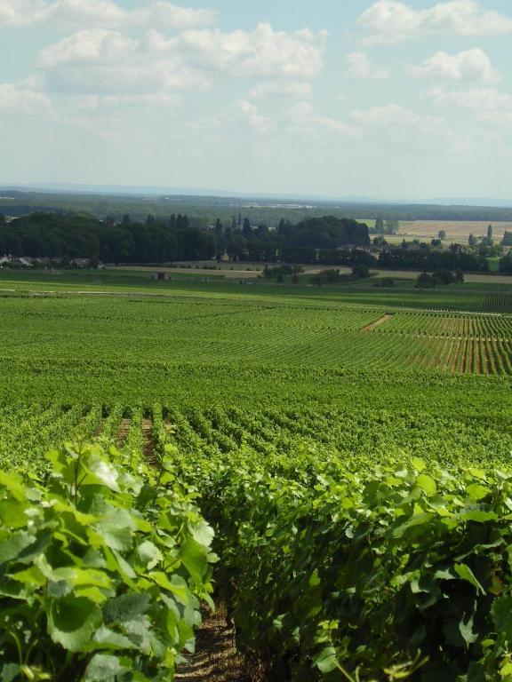 Hotel L'Oree Des Vignes Gilly-les-Citeaux Bagian luar foto